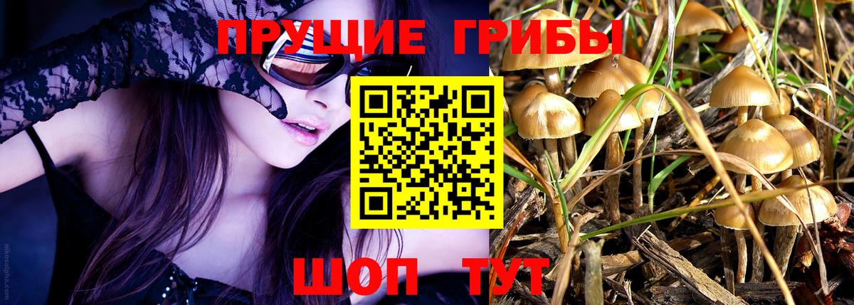 Галлюциногенные грибы ЛСД Белово